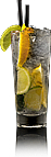 Drink gin fizz